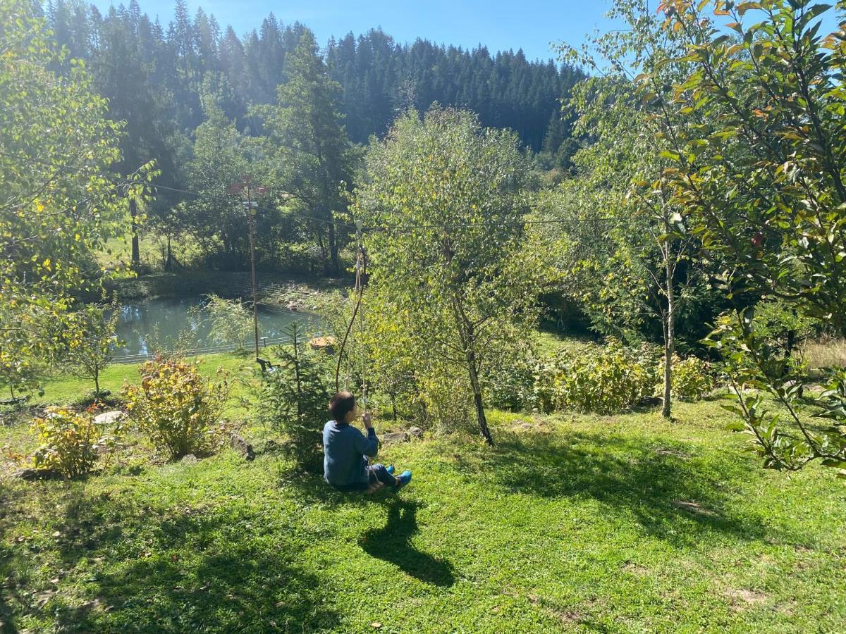 Chalet Mignon - Aproka Adorable Small Guest House Holiday home *