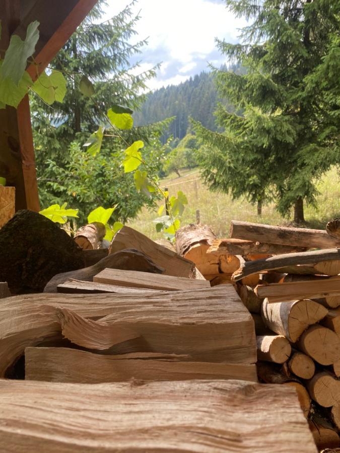 Chalet Mignon - Aproka Adorable Small Guest House Sicasau