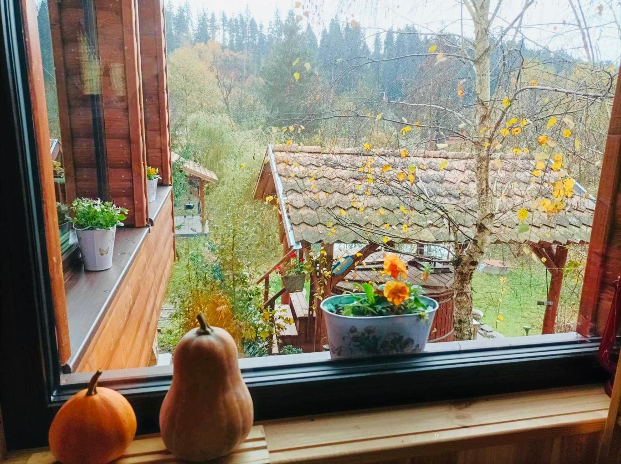 Holiday home Chalet Mignon - Aproka Adorable Small Guest House *