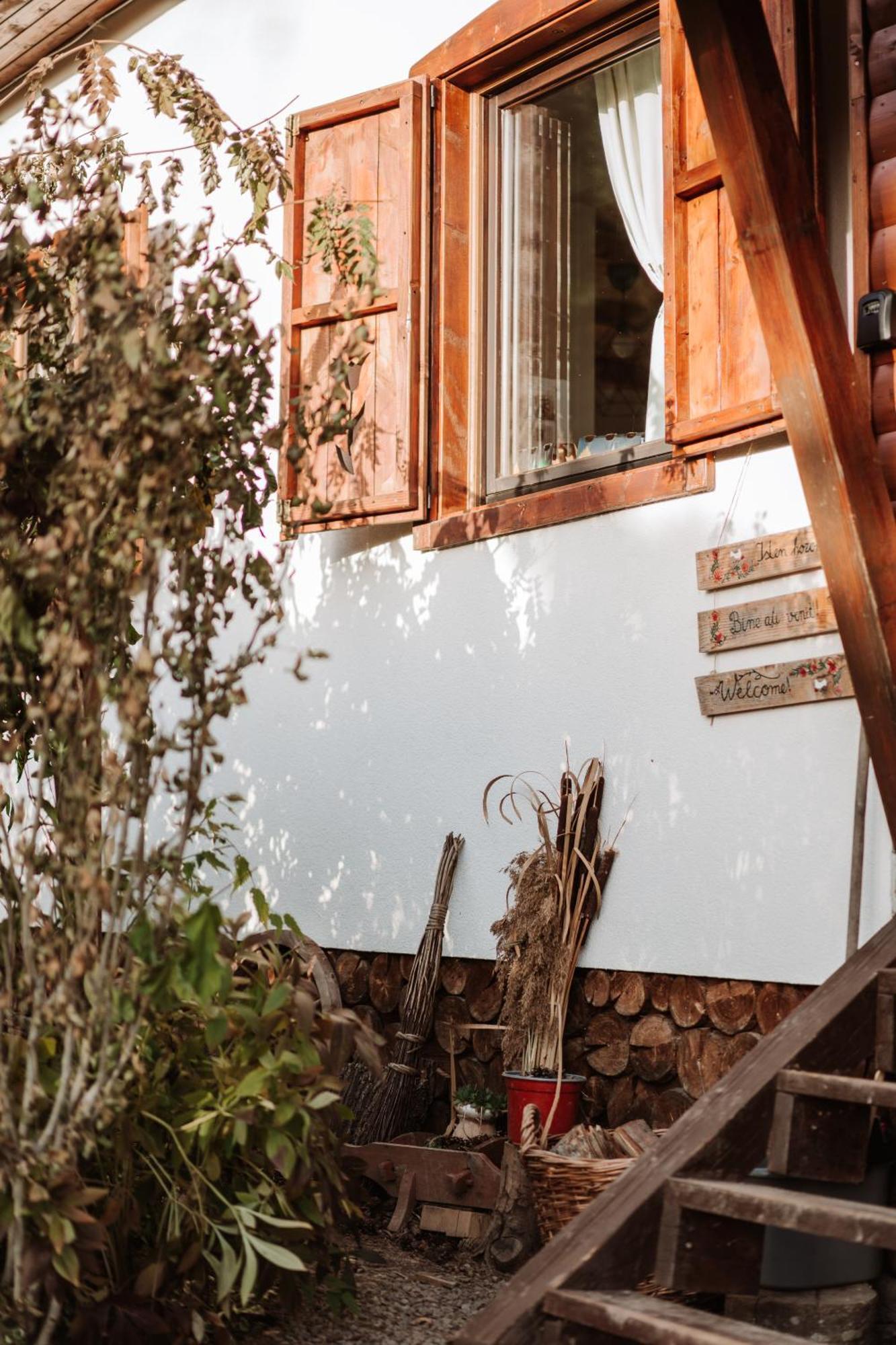 Chalet Mignon - Aproka Adorable Small Guest House Holiday home *