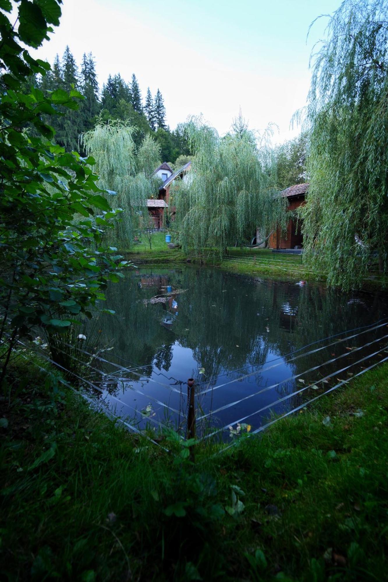 Chalet Mignon - Aproka Adorable Small Guest House *
