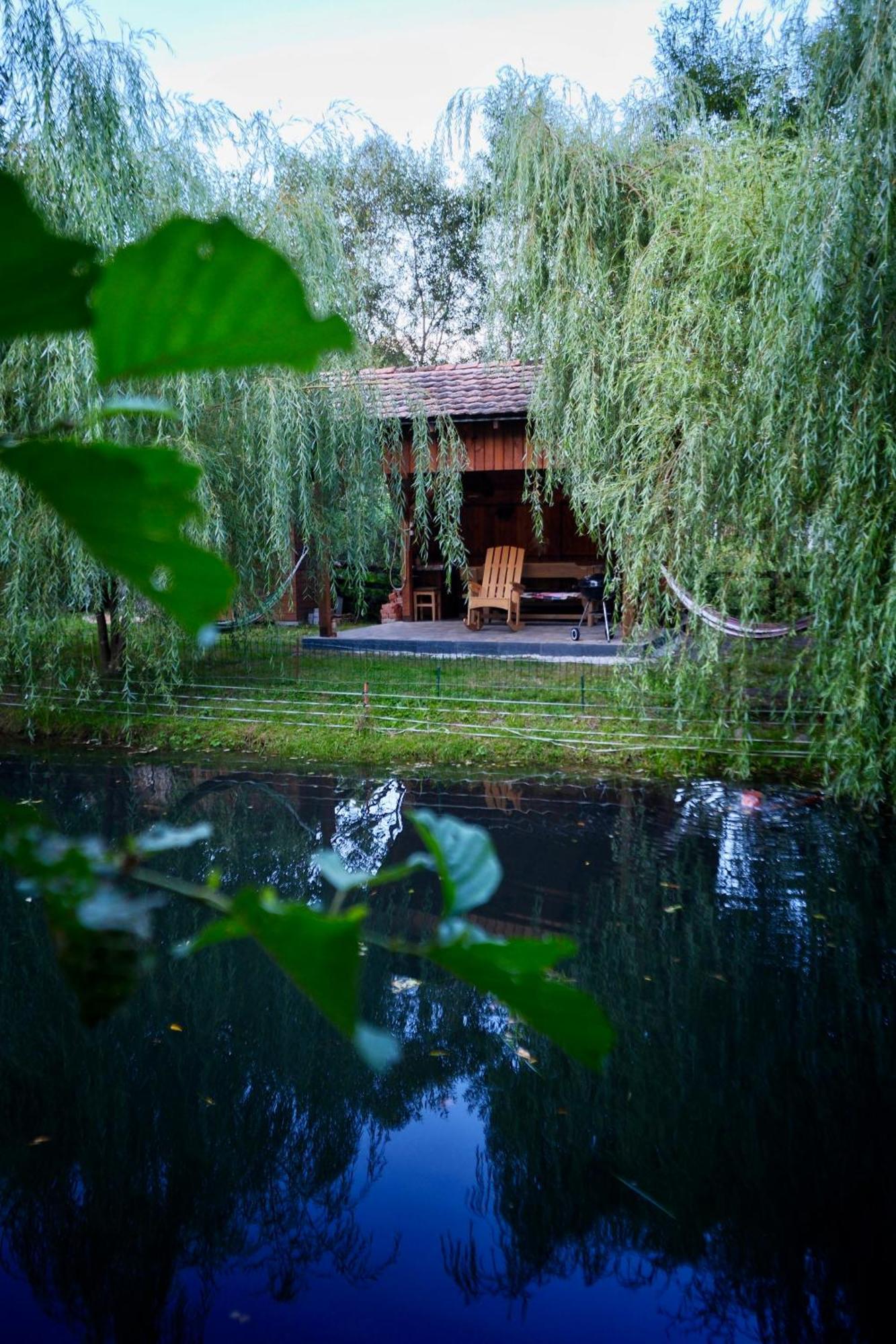Chalet Mignon - Aproka Adorable Small Guest House Sicasau
